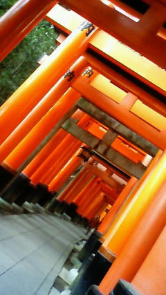 201001100849000.jpg