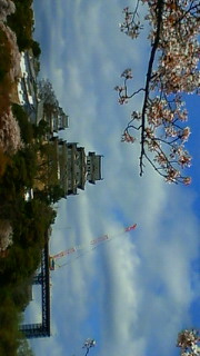 201004101328000.jpg